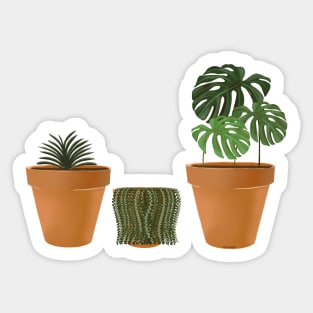 3 House Plants Sticker